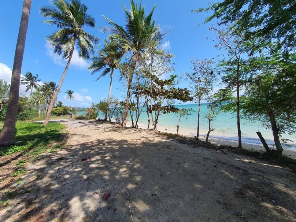 For SaleLandKoh Samui, Surat Thani : S-LSSB101 Land for sale, Sunset Beach (land on Koh Samui), total area of ​​2 plots connected, 4 rai, 3 ngan, 42 sq m, 145 million, 064-959-8900