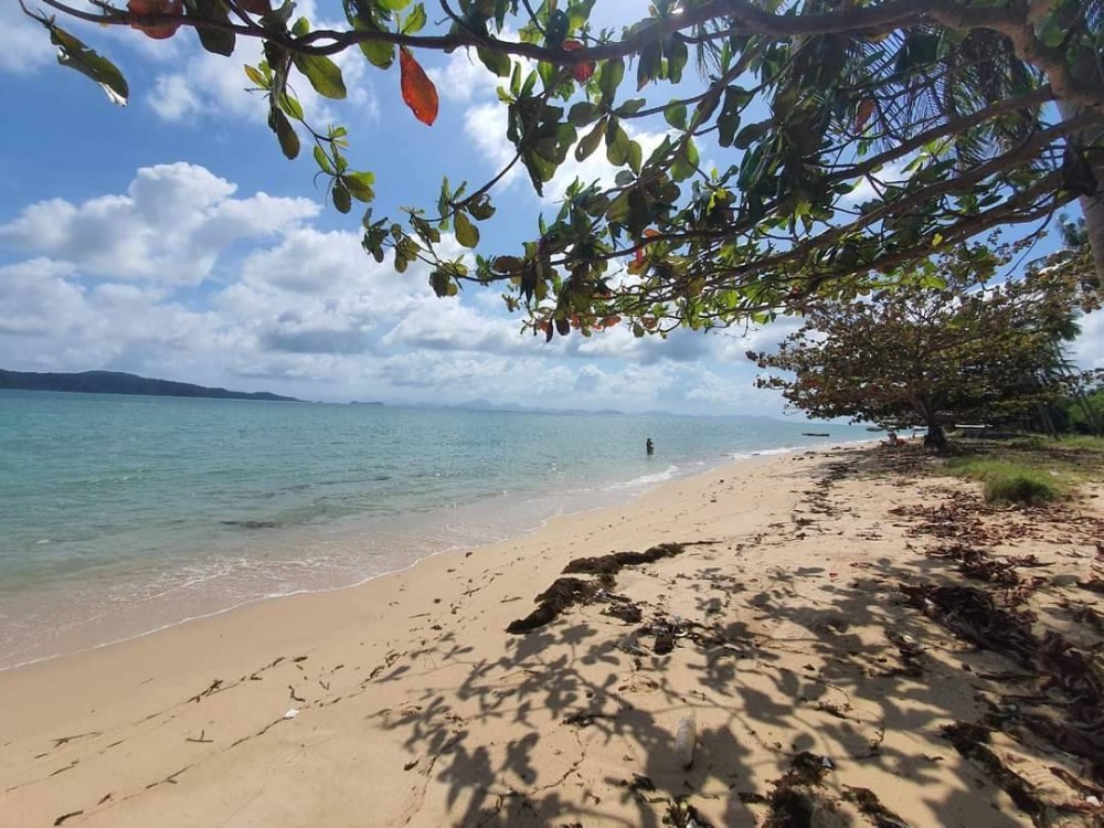 For SaleLandKoh Samui, Surat Thani : S-LSSB101 Land for sale, Sunset Beach (land on Koh Samui), total area of ​​2 plots connected, 4 rai, 3 ngan, 42 sq m, 145 million, 064-959-8900