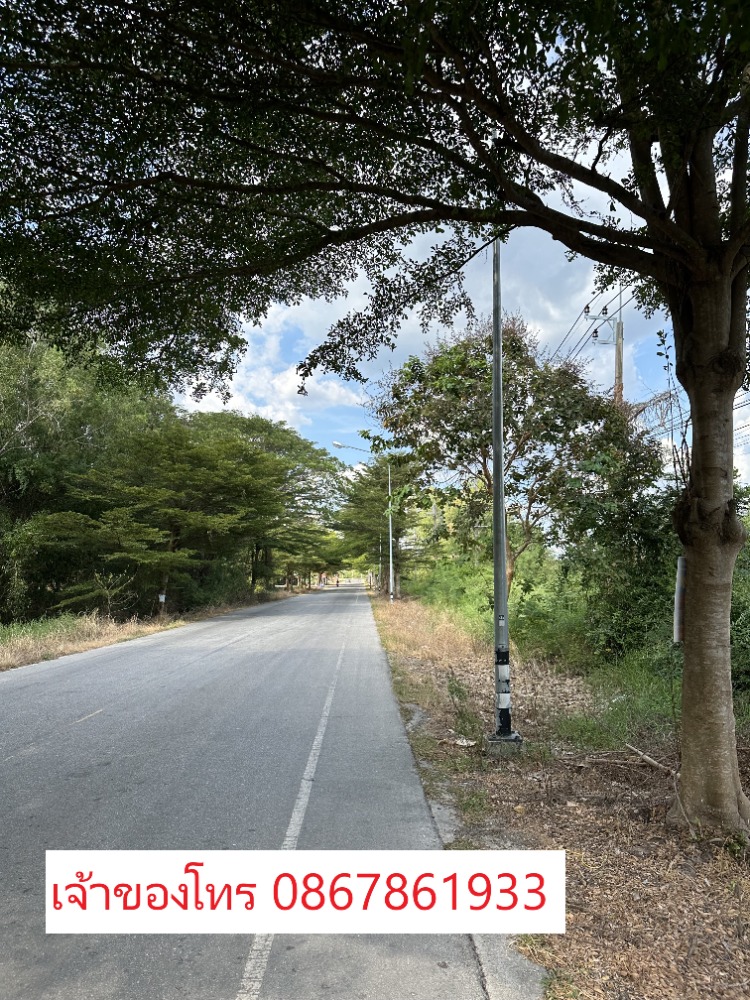 For SaleLandRayong : Land for Sale 31 Rai in Mueang Rayong, near Sukhumvit road 1.3 km.