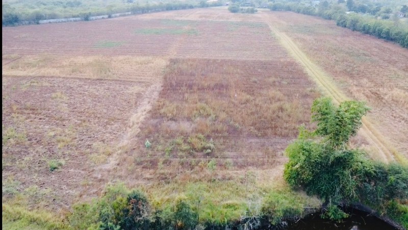 For SaleLandPak Chong KhaoYai : 1 plot of land, size 40-2-58 rai, Pak Chong, Nakhon Ratchasima, next to the road, Soi Takhian Thong, near Baan Suan Ton Rak