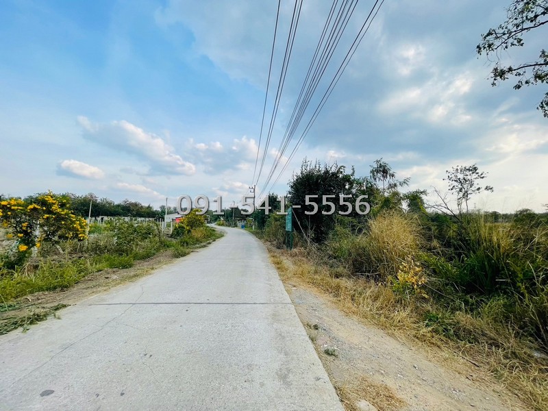 For SaleLandPak Chong KhaoYai : 1 plot of land, size 40-2-58 rai, Pak Chong, Nakhon Ratchasima, next to the road, Soi Takhian Thong, near Baan Suan Ton Rak