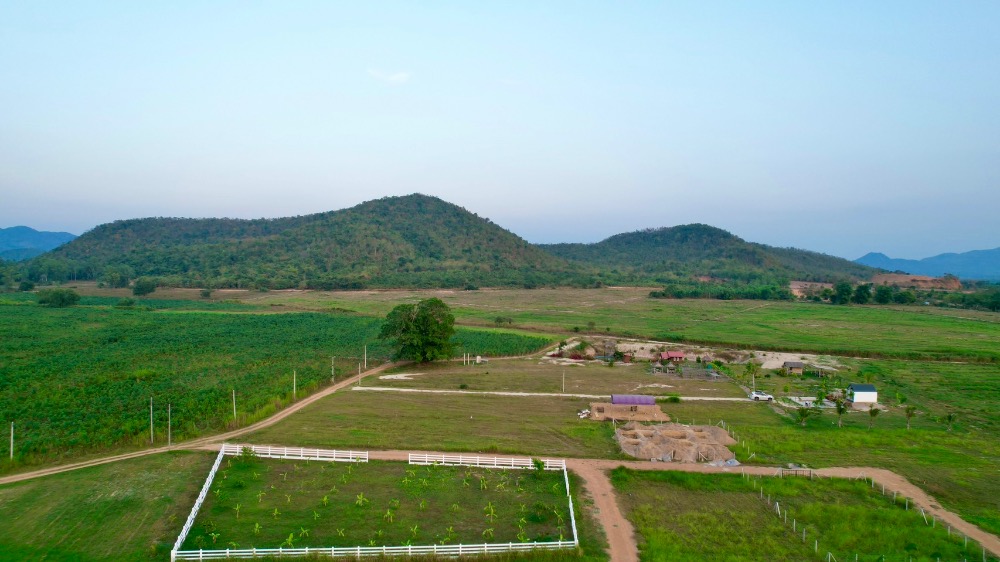 For SaleLandCha-am Phetchaburi : Land, Cha-am, size 100 sq m, 390,000 baht