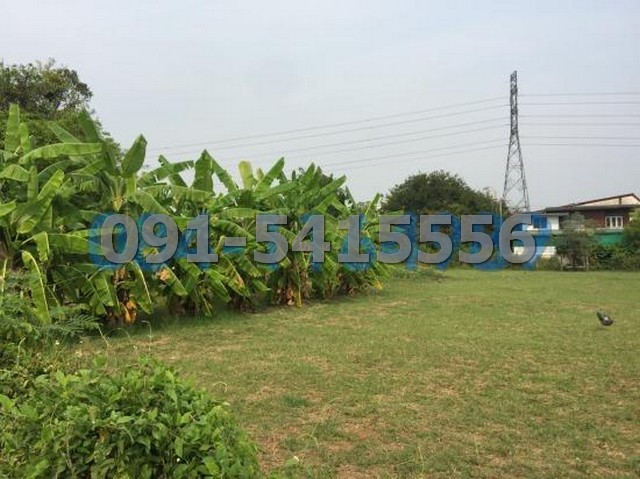 For SaleLandChiang Mai : Land for sale, filled in, area 832 square wah, orange area, near Nong Hoi Market, Chiang Mai, Soi Jai Kaew 2