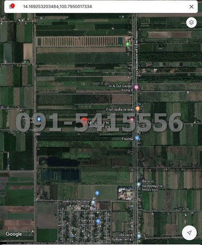 ขายที่ดินปทุมธานี รังสิต ธรรมศาสตร์ : ขายที่ดิน 49-1-88 ไร่ ติดถนนชลประทานคลอง 9 ฝั่งตะวันตก หนองเสือ ใกล้สวนฟุ้งขจร