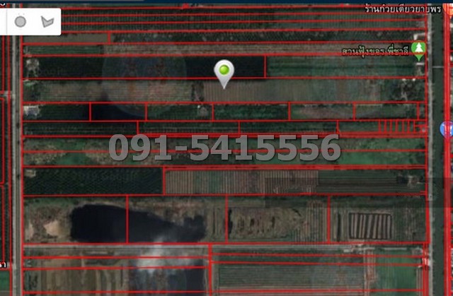 ขายที่ดินปทุมธานี รังสิต ธรรมศาสตร์ : ขายที่ดิน 49-1-88 ไร่ ติดถนนชลประทานคลอง 9 ฝั่งตะวันตก หนองเสือ ใกล้สวนฟุ้งขจร