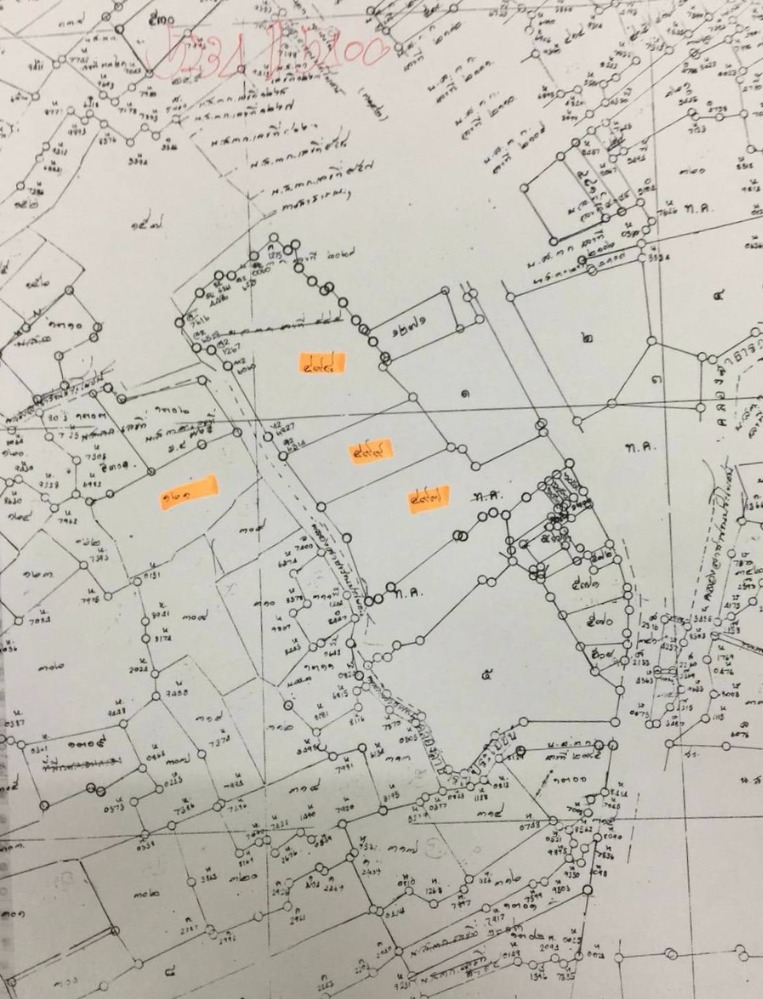 ขายที่ดินระยอง : 🟨 ที่ดินระยอง 39 ไร่ ใกล้ตลาดตะพง 🟨 (FOR SALE) NUT2111