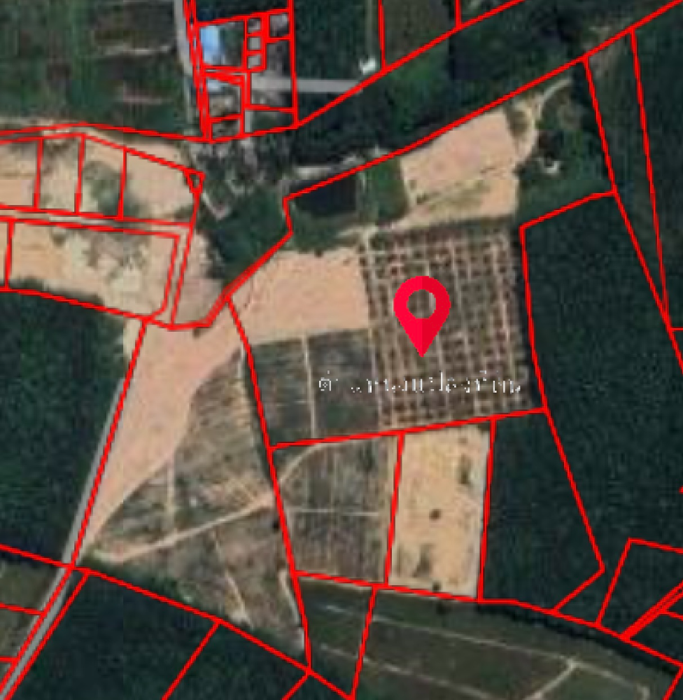 ขายที่ดินระยอง : 🟨 ที่ดินระยอง 50 ไร่ นิคมพัฒนา 🟨 (FOR SALE) NUT2062