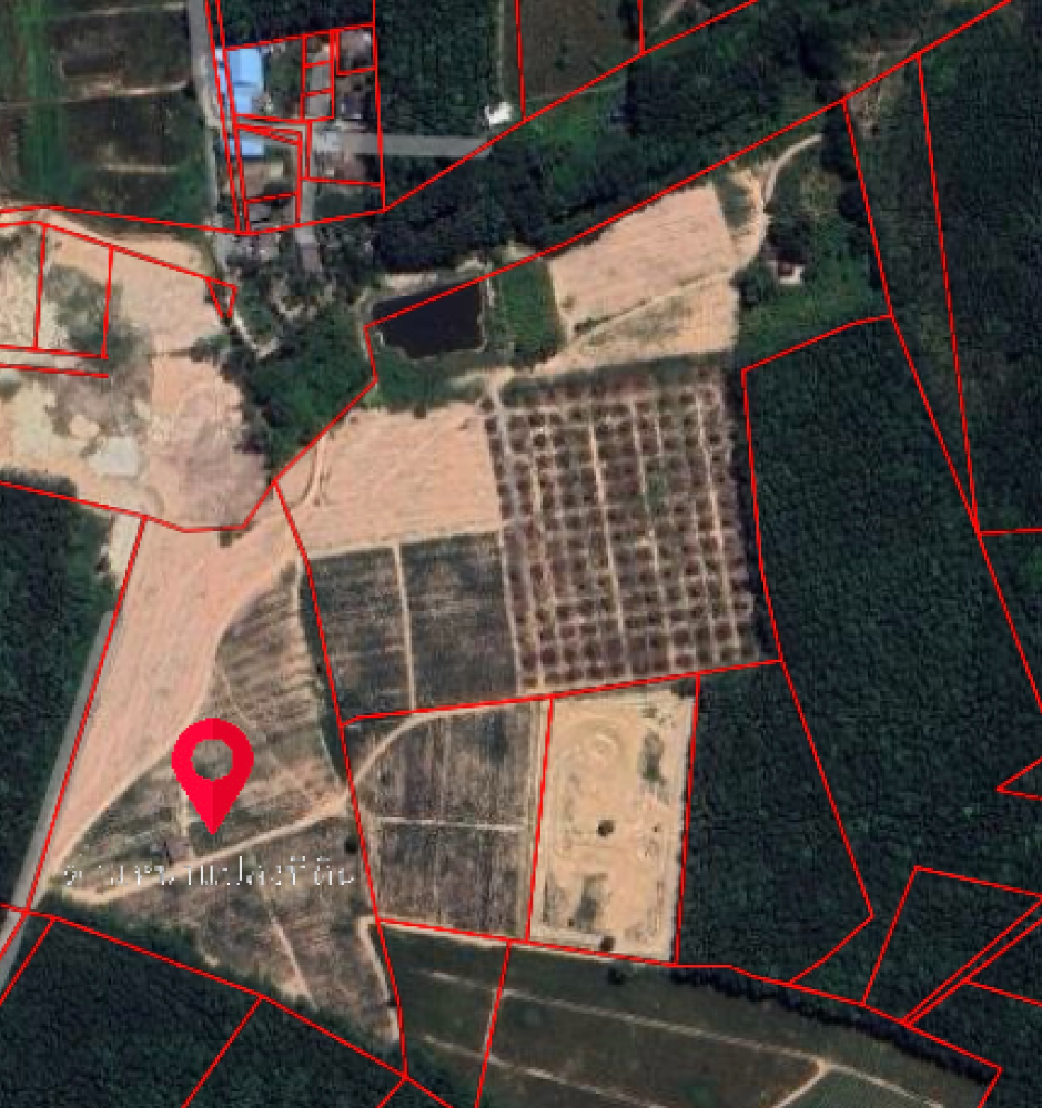 ขายที่ดินระยอง : 🟨 ที่ดินระยอง 50 ไร่ นิคมพัฒนา 🟨 (FOR SALE) NUT2062