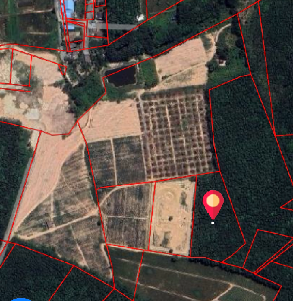 ขายที่ดินระยอง : 🟨 ที่ดินระยอง 50 ไร่ นิคมพัฒนา 🟨 (FOR SALE) NUT2062