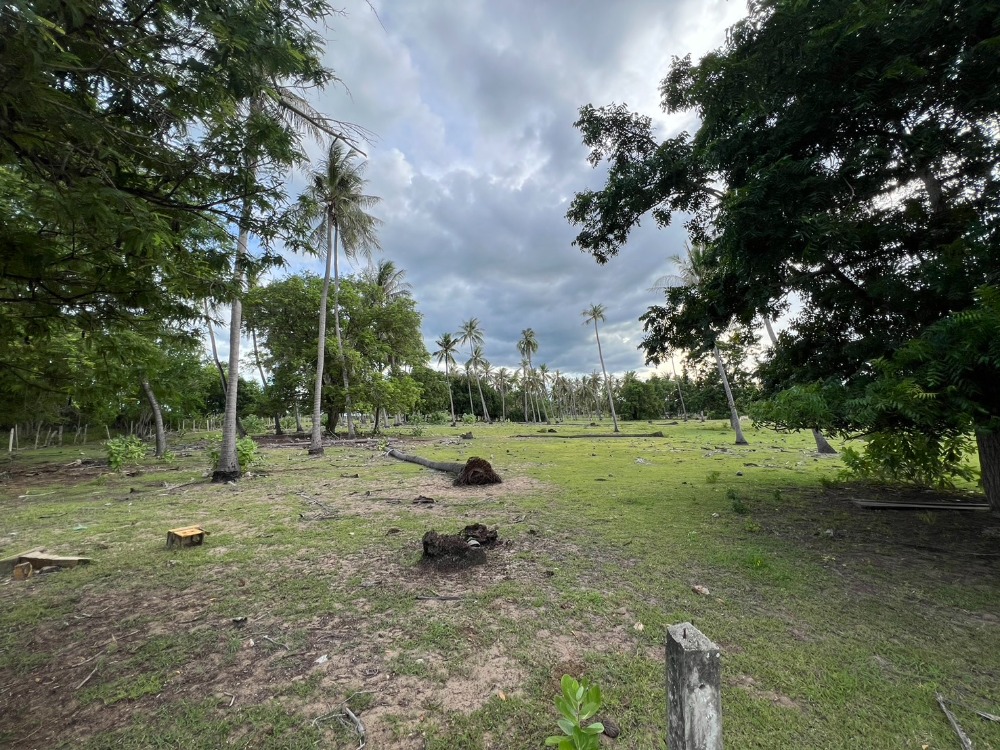 For SaleLandHuahin, Prachuap Khiri Khan, Pran Buri : Urgent sale, seaside land, size 10-0-37 rai, in Bon Nok Subdistrict, Mueang Prachuap Khiri Khan District.