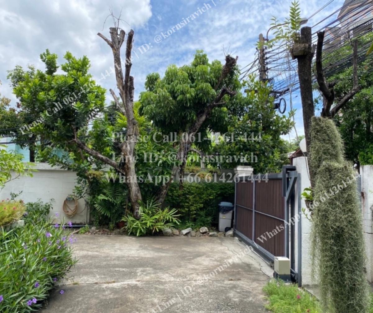 For RentRetail SpaceSukhumvit, Asoke, Thonglor : House for rent for business, on 140 square wah land, Soi Thonglor, Sukhumvit 55, business location, can be renovated, beautiful landscape, open wall, can be used as a parking lot