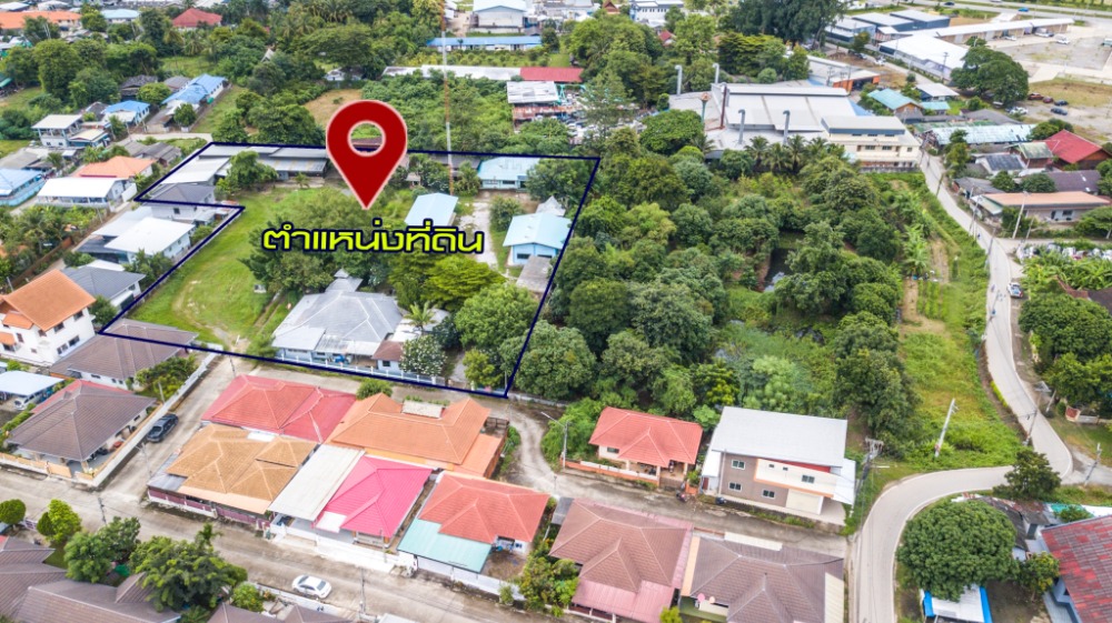 ขายโรงงานเชียงใหม่ : ขายที่ดิน 4 ไร่ 1 งาน 48 ตารางวา พร้อมโรงงานกาแฟ