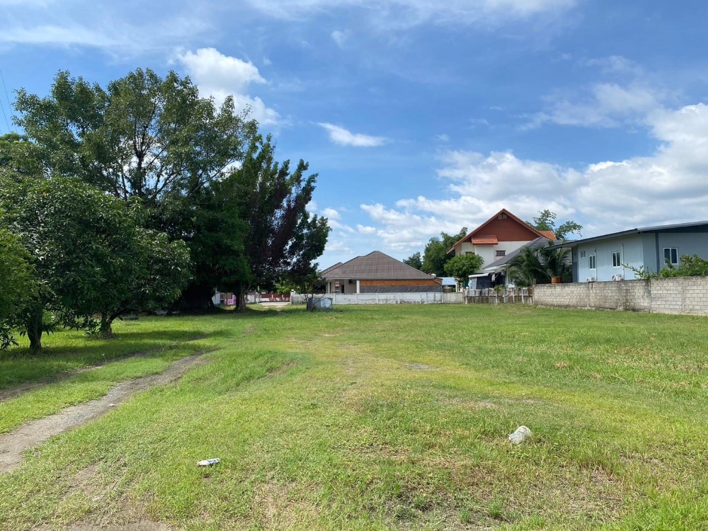 ขายโรงงานเชียงใหม่ : ขายที่ดิน 4 ไร่ 1 งาน 48 ตารางวา พร้อมโรงงานกาแฟ