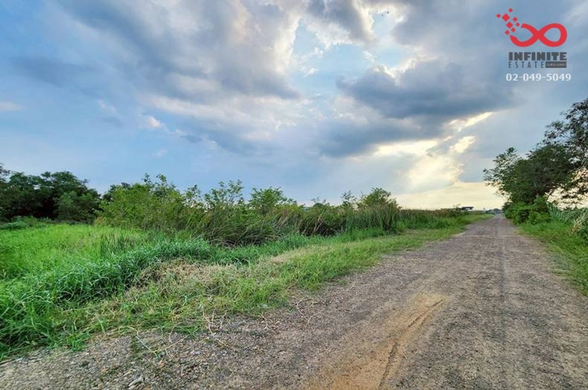 For SaleLandPathum Thani,Rangsit, Thammasat : Land for sale, 325 square wah, Soi Khlong Si Tawan Tok, Khlong Luang, Rangsit-Nakhon Nayok Road