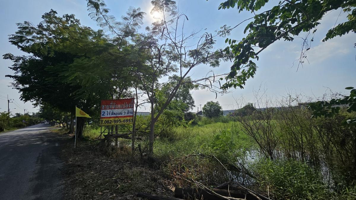 For SaleLandPathum Thani,Rangsit, Thammasat : Land for sale in Lat Lum Kaeo Soi Suwan Chin Daram Temple
