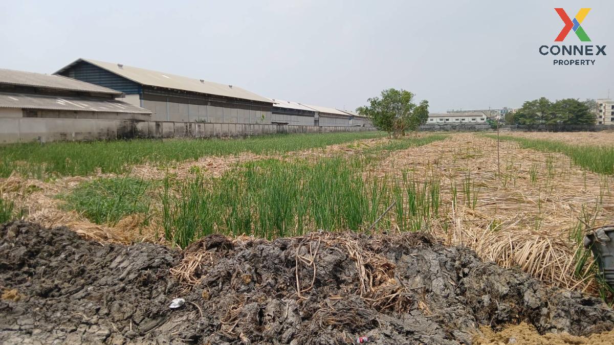 For SaleLandAyutthaya : For Sale land, Bang Pa-in, Ayutthaya , Khlong Chik , Bang Pa-in , Phra Nakhon Si Ayutthaya , CX-102653