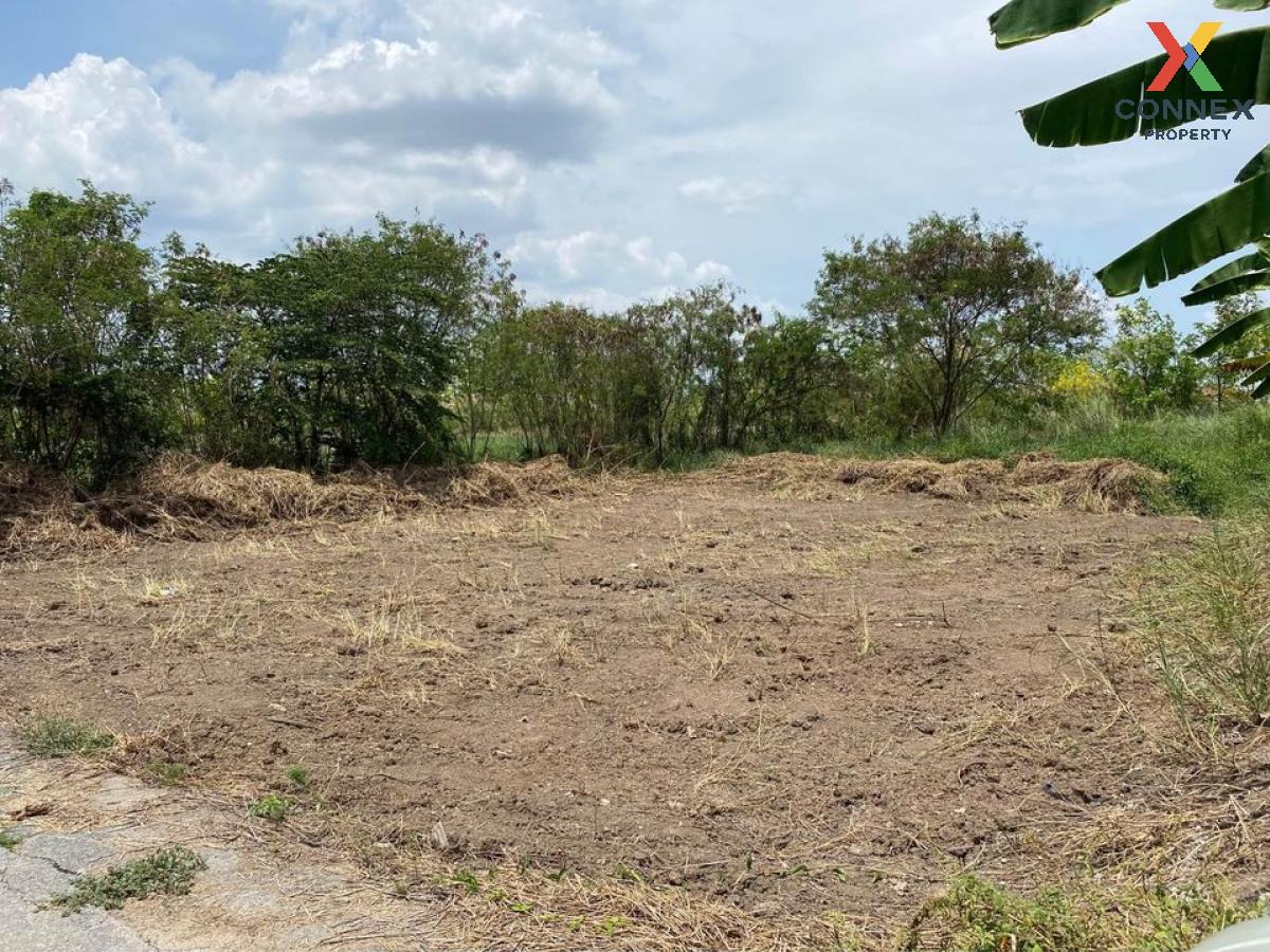 For SaleLandNonthaburi, Bang Yai, Bangbuathong : For Sale land Bang Muang - Bang Khu Lat Road , Bang Muang , Bang Yai , Nonthaburi , CX-104122
