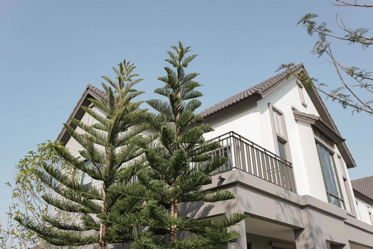 ขายบ้านลาดกระบัง สุวรรณภูมิ : 🎉𝐒𝐔𝐏𝐄𝐑 𝐃𝐄𝐀𝐋🎉สราญสิริ-รามคำแหง บ้านสวยสไตล์ 𝐌𝐨𝐝𝐞𝐫𝐧 𝐅𝐚𝐫𝐦𝐡𝐨𝐮𝐬𝐞 ใกล้รถไฟฟ้า เริ่มต้นเพียง 𝟕.𝟗𝟗 ล้าน* โทร📱𝟎𝟔𝟐-𝟓𝟐𝟔-𝟔𝟓𝟗𝟎