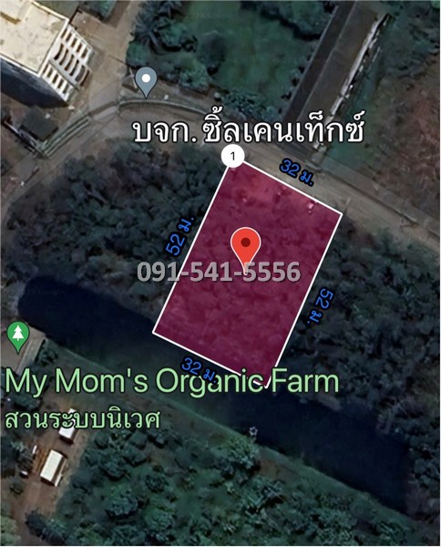 ขายที่ดินปทุมธานี รังสิต ธรรมศาสตร์ : ขายที่ดิน แปลงรูปสีเหลี่ยมผืนผ้า 1-0-21 ไร่ บางหลวง เมืองปทุมธานี ผังเมืองสีชมพู ตั้งอยู่บนแหล่งชุมชนการเดินทางสะดวก