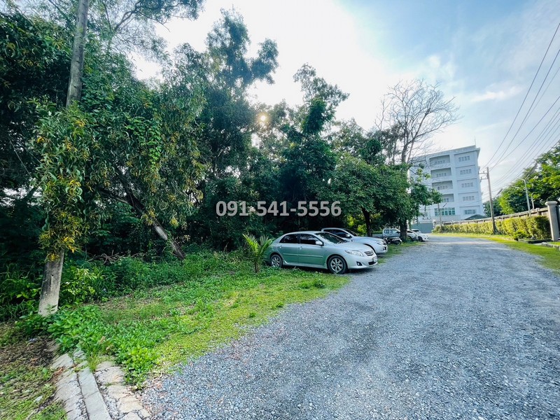 ขายที่ดินปทุมธานี รังสิต ธรรมศาสตร์ : ขายที่ดิน แปลงรูปสีเหลี่ยมผืนผ้า 1-0-21 ไร่ บางหลวง เมืองปทุมธานี ผังเมืองสีชมพู ตั้งอยู่บนแหล่งชุมชนการเดินทางสะดวก