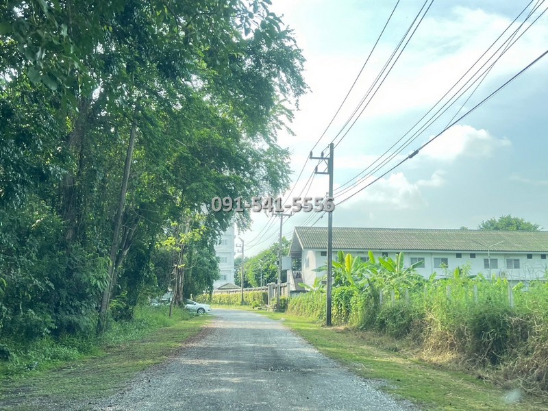 ขายที่ดินปทุมธานี รังสิต ธรรมศาสตร์ : ขายที่ดิน แปลงรูปสีเหลี่ยมผืนผ้า 1-0-21 ไร่ บางหลวง เมืองปทุมธานี ผังเมืองสีชมพู ตั้งอยู่บนแหล่งชุมชนการเดินทางสะดวก