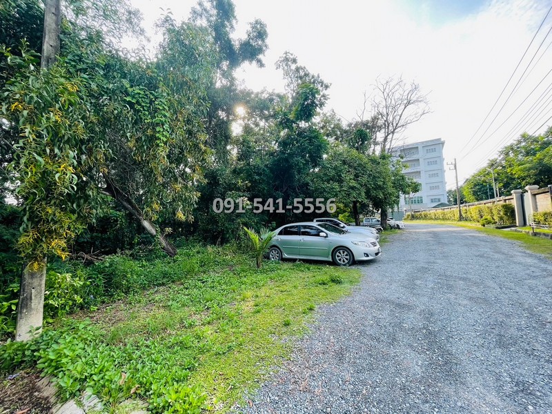 ขายที่ดินปทุมธานี รังสิต ธรรมศาสตร์ : ขายที่ดิน แปลงรูปสีเหลี่ยมผืนผ้า 1-0-21 ไร่ บางหลวง เมืองปทุมธานี ผังเมืองสีชมพู ตั้งอยู่บนแหล่งชุมชนการเดินทางสะดวก