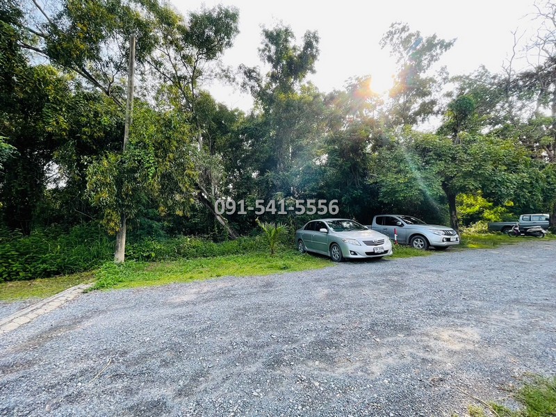 ขายที่ดินปทุมธานี รังสิต ธรรมศาสตร์ : ขายที่ดิน แปลงรูปสีเหลี่ยมผืนผ้า 1-0-21 ไร่ บางหลวง เมืองปทุมธานี ผังเมืองสีชมพู ตั้งอยู่บนแหล่งชุมชนการเดินทางสะดวก