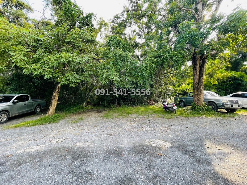 ขายที่ดินปทุมธานี รังสิต ธรรมศาสตร์ : ขายที่ดิน แปลงรูปสีเหลี่ยมผืนผ้า 1-0-21 ไร่ บางหลวง เมืองปทุมธานี ผังเมืองสีชมพู ตั้งอยู่บนแหล่งชุมชนการเดินทางสะดวก