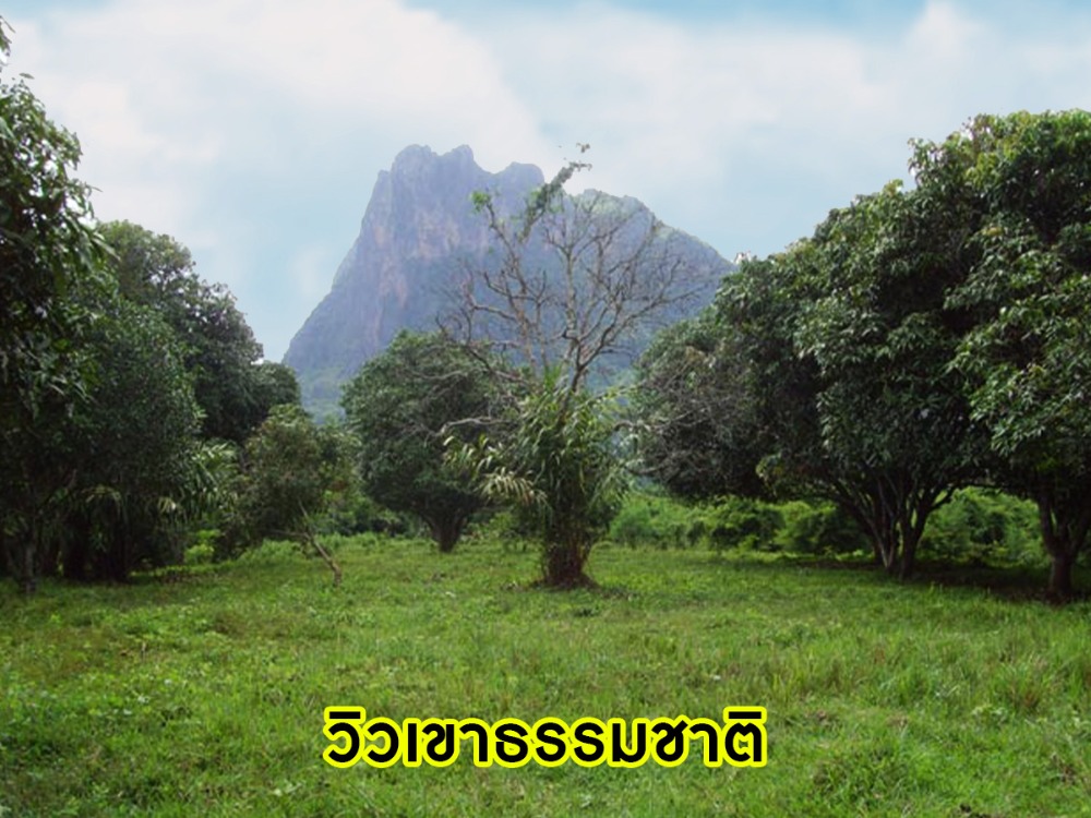 ขายที่ดินเลย : พลาดไม่ได้ !! ที่ดินผืนใหญ่ ติดแม่น้ำสองด้าน ใกล้สถานที่ท่องเที่ยวภูกระดึง เนื้อที่ 61 ไร่ 1 งาน 67 ต.ร.ว มีสิ่งอำนวยความสะดวก ใกล้แหล่งท่องเที่ยว