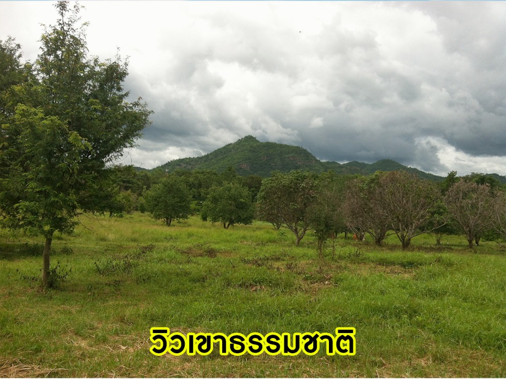 ขายที่ดินเลย : พลาดไม่ได้ !! ที่ดินผืนใหญ่ ติดแม่น้ำสองด้าน ใกล้สถานที่ท่องเที่ยวภูกระดึง เนื้อที่ 61 ไร่ 1 งาน 67 ต.ร.ว มีสิ่งอำนวยความสะดวก ใกล้แหล่งท่องเที่ยว