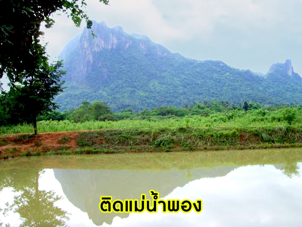 ขายที่ดินเลย : พลาดไม่ได้ !! ที่ดินผืนใหญ่ ติดแม่น้ำสองด้าน ใกล้สถานที่ท่องเที่ยวภูกระดึง เนื้อที่ 61 ไร่ 1 งาน 67 ต.ร.ว มีสิ่งอำนวยความสะดวก ใกล้แหล่งท่องเที่ยว