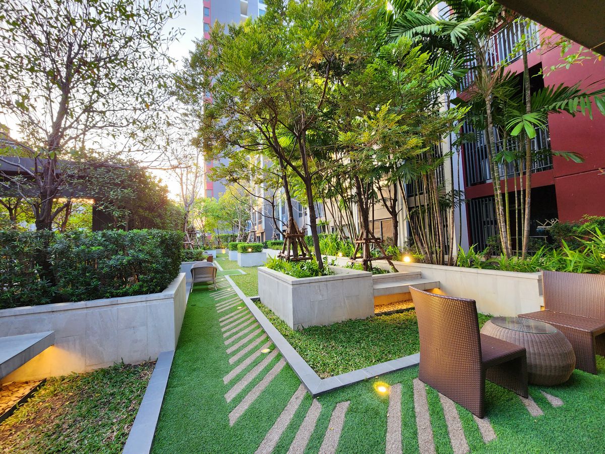 ขายคอนโดปิ่นเกล้า จรัญสนิทวงศ์ : ลดราคาโหด ขายห้องหายาก ทิศใต้ 32 ตารางเมตร **ขายพร้อมอยู่** ขาย The Tree จรัญ30 คอนโดทำเลศิริราช ยูนิตน้อยสุดส่วนตัว 12 ห้องต่อ 1 ชั้น สังคมดีมาก SN494.10