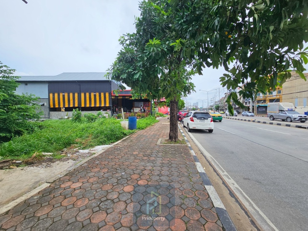 ขายที่ดินปทุมธานี รังสิต ธรรมศาสตร์ : ขาย ที่ดินเปล่า 141 ตรว. ซ.ลำลูกกา 10 ติด ถ.ลำลูกกา ทำเลดี เหมาะทำการค้า