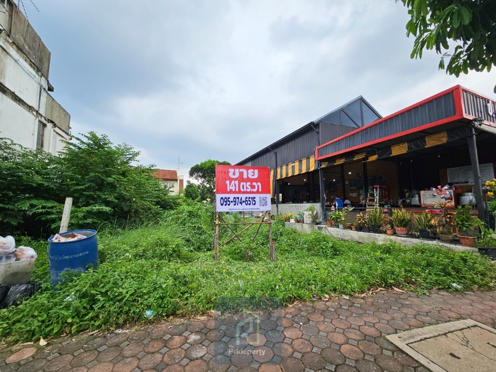 ขายที่ดินปทุมธานี รังสิต ธรรมศาสตร์ : ขาย ที่ดินเปล่า 141 ตรว. ซ.ลำลูกกา 10 ติด ถ.ลำลูกกา ทำเลดี เหมาะทำการค้า