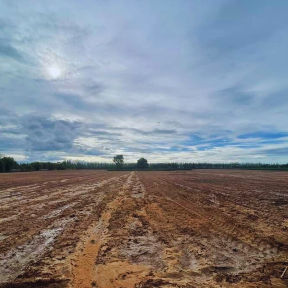 ขายที่ดินราชบุรี : ขายที่ดินแปลงใหญ่ เนินเขาน้ำไม่ท่วม 76-2-28ไร่  เบิกไพร จอมบึง ราชบุรี เหมาะสร้างโกดัง โรงงาน โซลาร์ฟาร์ม โครงการ โปรเจคใหญ่ๆ