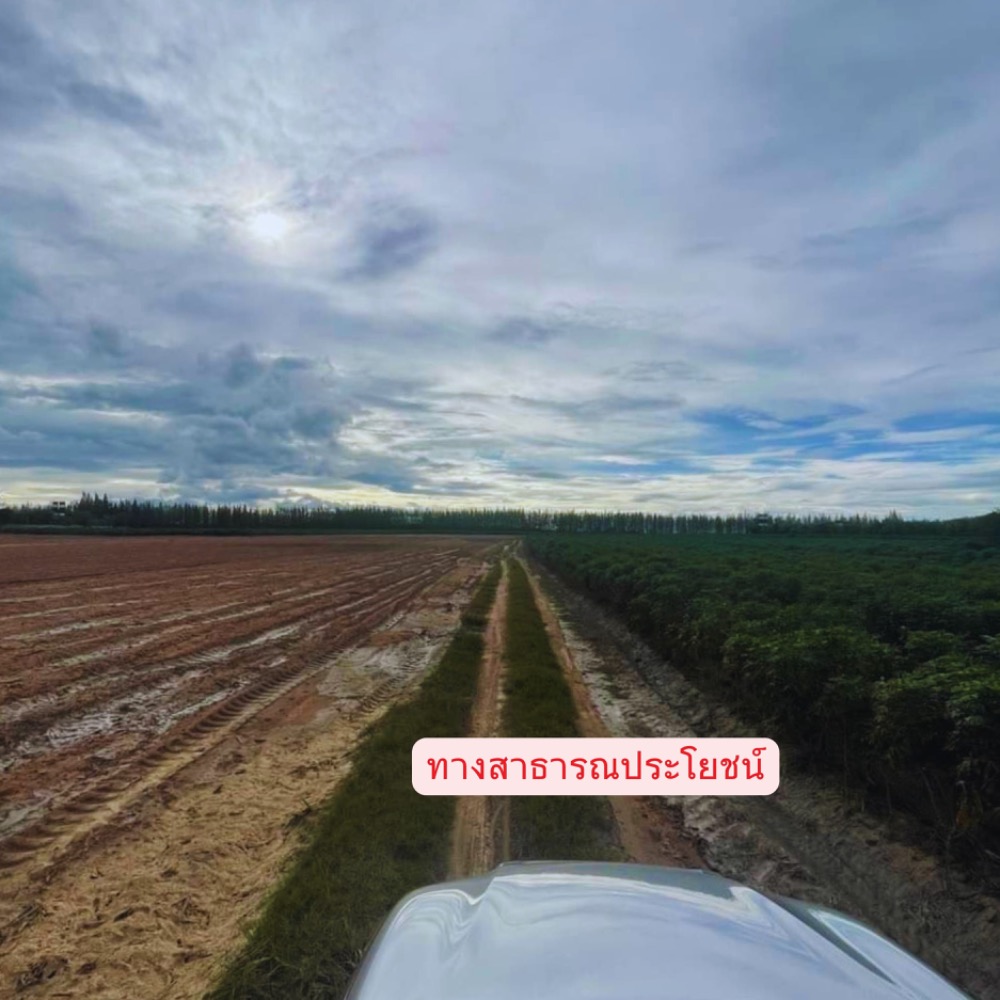 ขายที่ดินราชบุรี : ขายที่ดินแปลงใหญ่ เนินเขาน้ำไม่ท่วม 76-2-28ไร่  เบิกไพร จอมบึง ราชบุรี เหมาะสร้างโกดัง โรงงาน โซลาร์ฟาร์ม โครงการ โปรเจคใหญ่ๆ