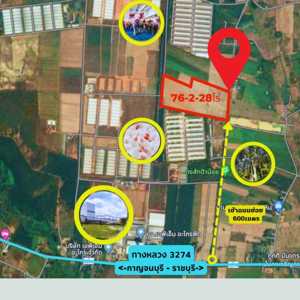 ขายที่ดินราชบุรี : ขายที่ดินแปลงใหญ่ เนินเขาน้ำไม่ท่วม 76-2-28ไร่  เบิกไพร จอมบึง ราชบุรี เหมาะสร้างโกดัง โรงงาน โซลาร์ฟาร์ม โครงการ โปรเจคใหญ่ๆ