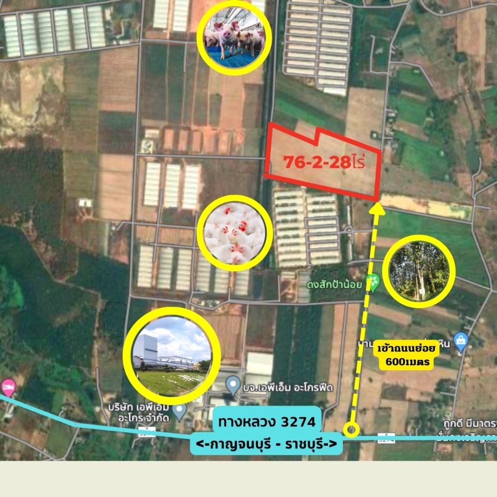 ขายที่ดินราชบุรี : ขายที่ดินแปลงใหญ่ เนินเขาน้ำไม่ท่วม 76-2-28ไร่  เบิกไพร จอมบึง ราชบุรี เหมาะสร้างโกดัง โรงงาน โซลาร์ฟาร์ม โครงการ โปรเจคใหญ่ๆ