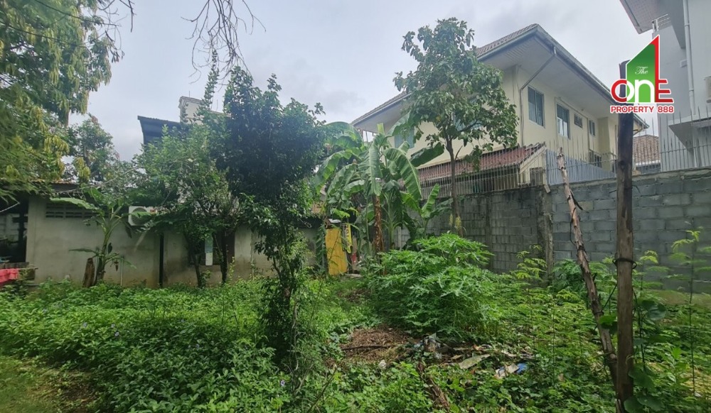 ขายที่ดินนนทบุรี บางใหญ่ บางบัวทอง : ที่ดิน 240 ตรว. ถ.นครอินทร์ ซ.1 แยก 2 ต.บางเขน(สวนใหญ่) อ.เมืองนนทบุรี จ.นนทบุรี