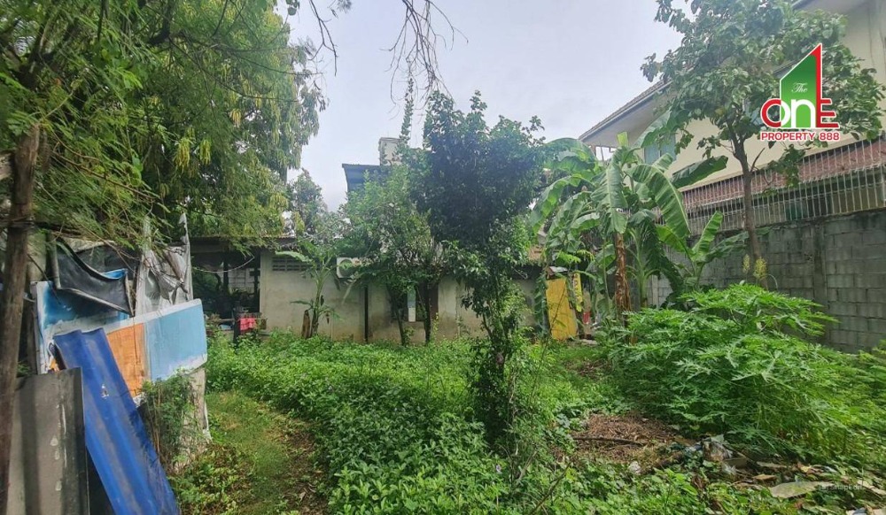 ขายที่ดินนนทบุรี บางใหญ่ บางบัวทอง : ที่ดิน 240 ตรว. ถ.นครอินทร์ ซ.1 แยก 2 ต.บางเขน(สวนใหญ่) อ.เมืองนนทบุรี จ.นนทบุรี