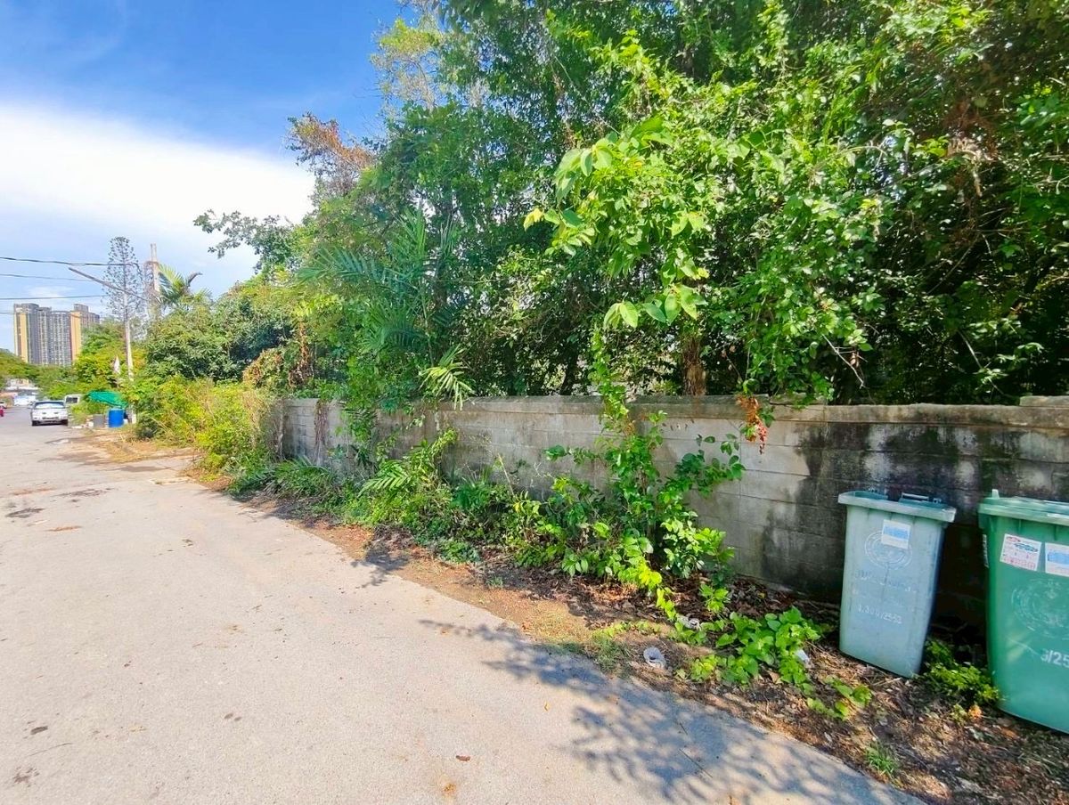 For SaleLandBangna, Bearing, Lasalle : ขายที่ดินเปล่า ซอยราชวินิตบางแก้ว