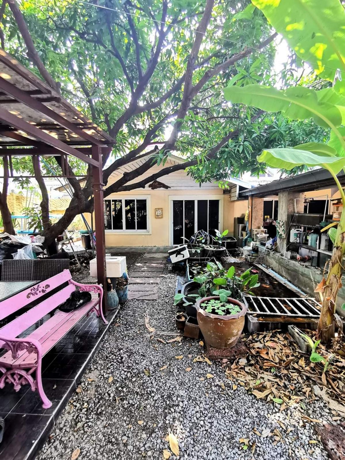 For SaleHouseThaphra, Talat Phlu, Wutthakat : Very urgent sale, house for sale, 90 sq m., Soi Wutthakat 53 / Soi Chom Thong 14. (Sold as is)