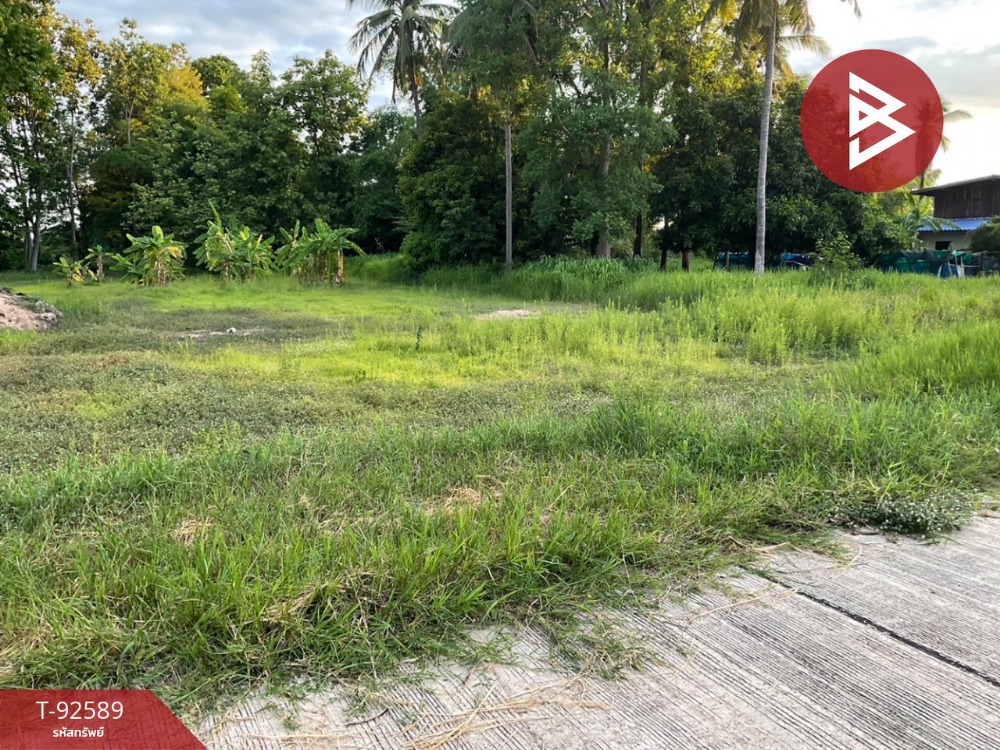 For SaleLandPhitsanulok : Land for sale, area 1 rai 56 square wa, Don Thong, Phitsanulok