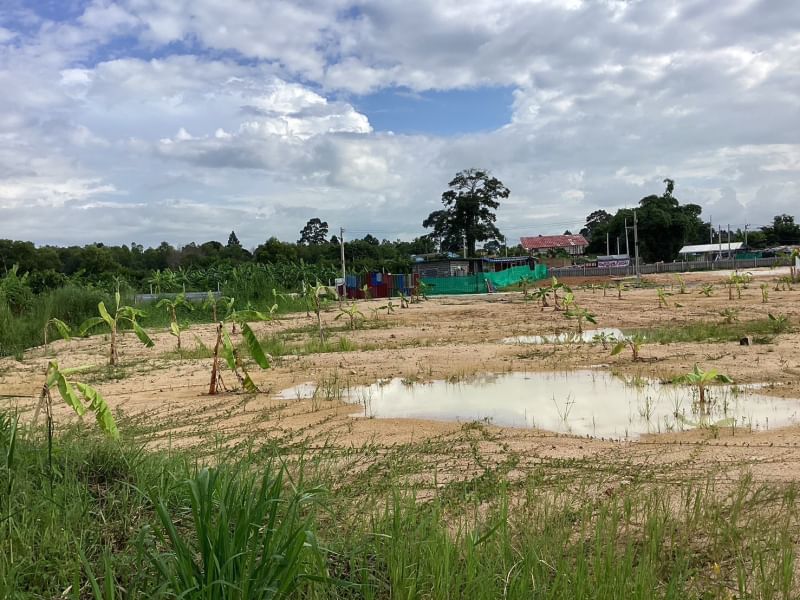 For SaleLandSriracha Laem Chabang Ban Bueng : Land for sale, next to concrete road, Sriracha, Na Phrao Alley, Chonburi