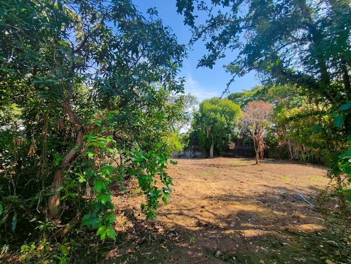 For SaleLandBangna, Bearing, Lasalle : ขายที่ดินเปล่า ซอยราชวินิตบางแก้ว