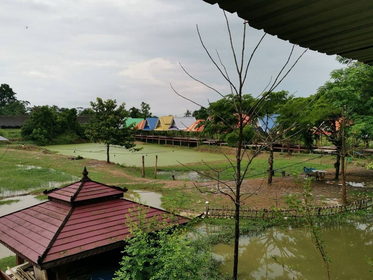 ขายที่ดินพัทยา บางแสน ชลบุรี สัตหีบ : ขายขาดทุน !! ที่ดินแถมบ้านเรือนไทย ไม้สัก สภาพดี เดิมเคยเปิดเป็นโฮมสเตย์และคาเฟ่   เนื้อที่ 7-3-70 ไร่ ต.หมอนนาง อ.พนัสนิคม จ.ชลบุรี