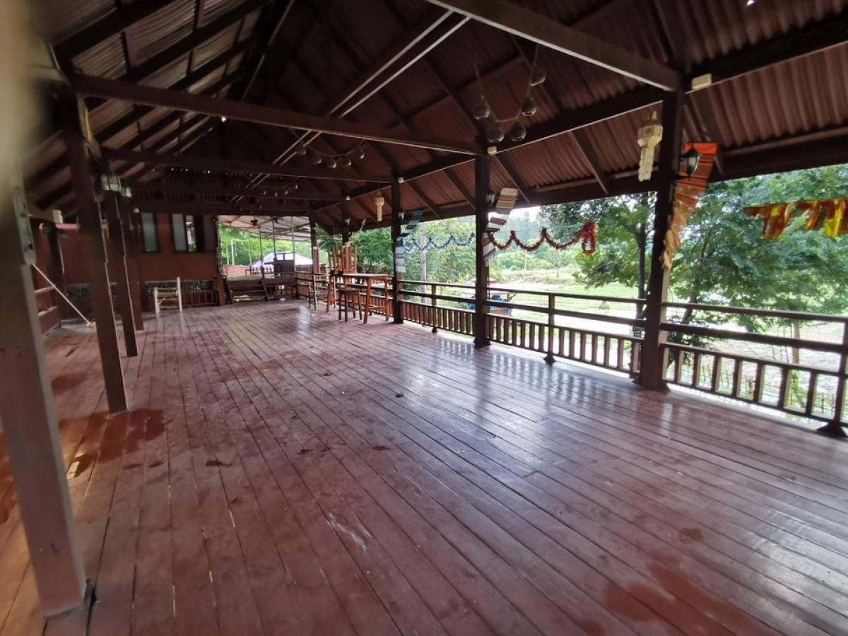 ขายที่ดินพัทยา บางแสน ชลบุรี สัตหีบ : ขายขาดทุน !! ที่ดินแถมบ้านเรือนไทย ไม้สัก สภาพดี เดิมเคยเปิดเป็นโฮมสเตย์และคาเฟ่   เนื้อที่ 7-3-70 ไร่ ต.หมอนนาง อ.พนัสนิคม จ.ชลบุรี