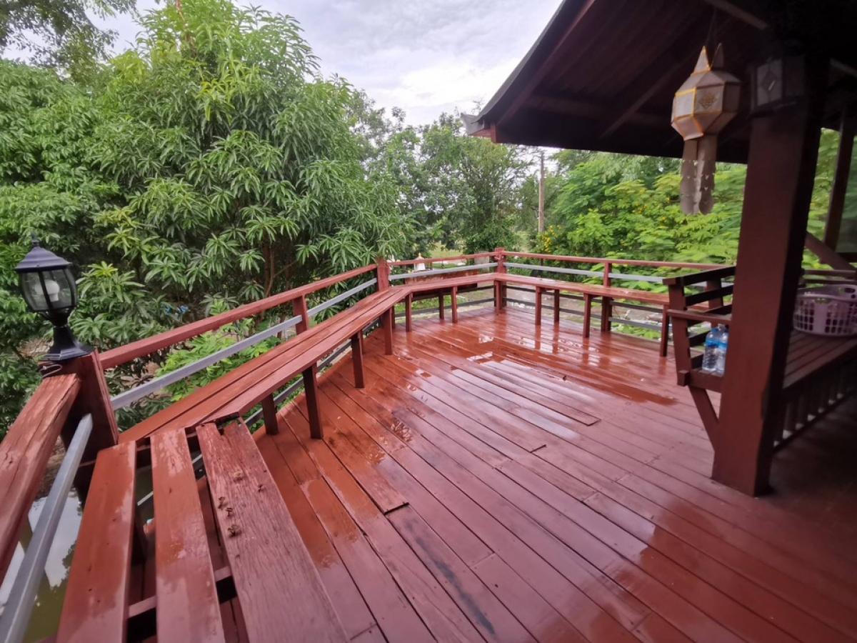 ขายที่ดินพัทยา บางแสน ชลบุรี สัตหีบ : ขายขาดทุน !! ที่ดินแถมบ้านเรือนไทย ไม้สัก สภาพดี เดิมเคยเปิดเป็นโฮมสเตย์และคาเฟ่   เนื้อที่ 7-3-70 ไร่ ต.หมอนนาง อ.พนัสนิคม จ.ชลบุรี