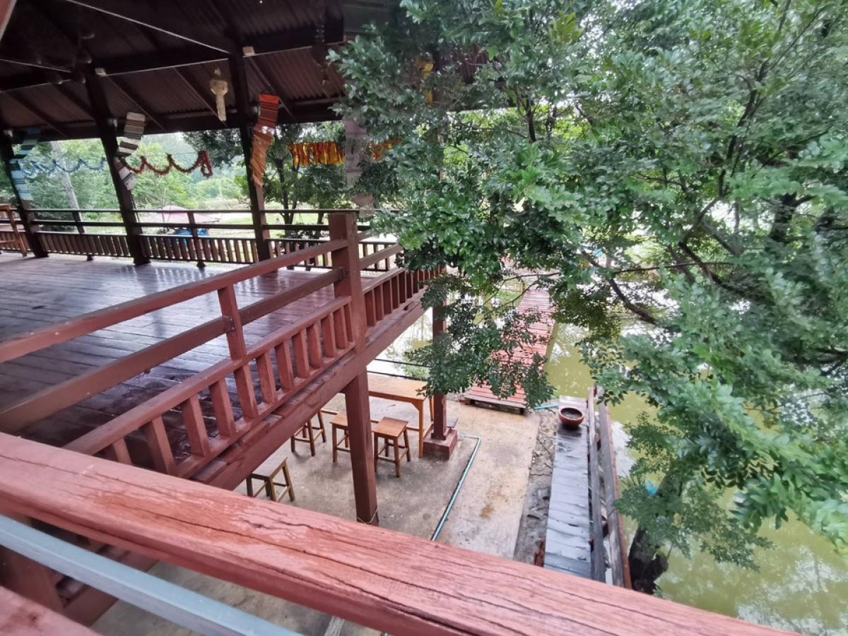 ขายที่ดินพัทยา บางแสน ชลบุรี สัตหีบ : ขายขาดทุน !! ที่ดินแถมบ้านเรือนไทย ไม้สัก สภาพดี เดิมเคยเปิดเป็นโฮมสเตย์และคาเฟ่   เนื้อที่ 7-3-70 ไร่ ต.หมอนนาง อ.พนัสนิคม จ.ชลบุรี