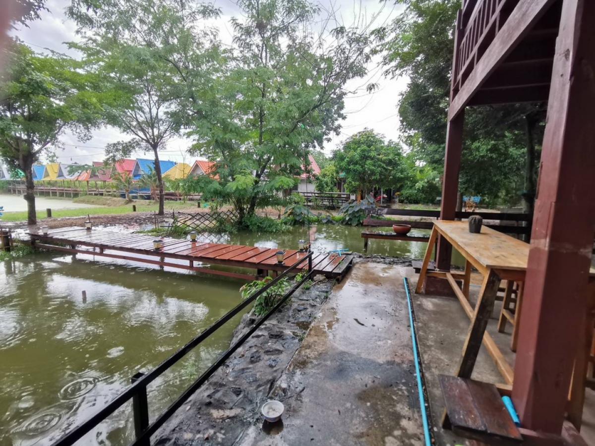 ขายที่ดินพัทยา บางแสน ชลบุรี สัตหีบ : ขายขาดทุน !! ที่ดินแถมบ้านเรือนไทย ไม้สัก สภาพดี เดิมเคยเปิดเป็นโฮมสเตย์และคาเฟ่   เนื้อที่ 7-3-70 ไร่ ต.หมอนนาง อ.พนัสนิคม จ.ชลบุรี